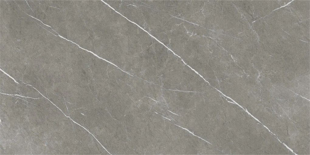 Dlažba Eternal Dark Natural 60x120 R