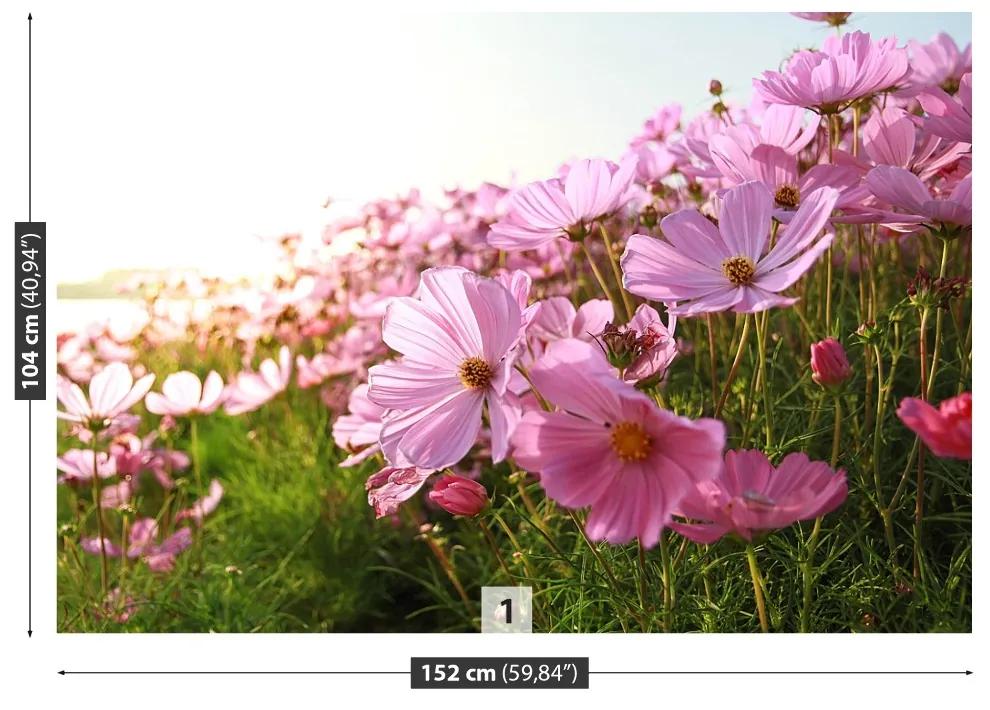 Fototapeta Vliesová Vesmír kvetina 416x254 cm