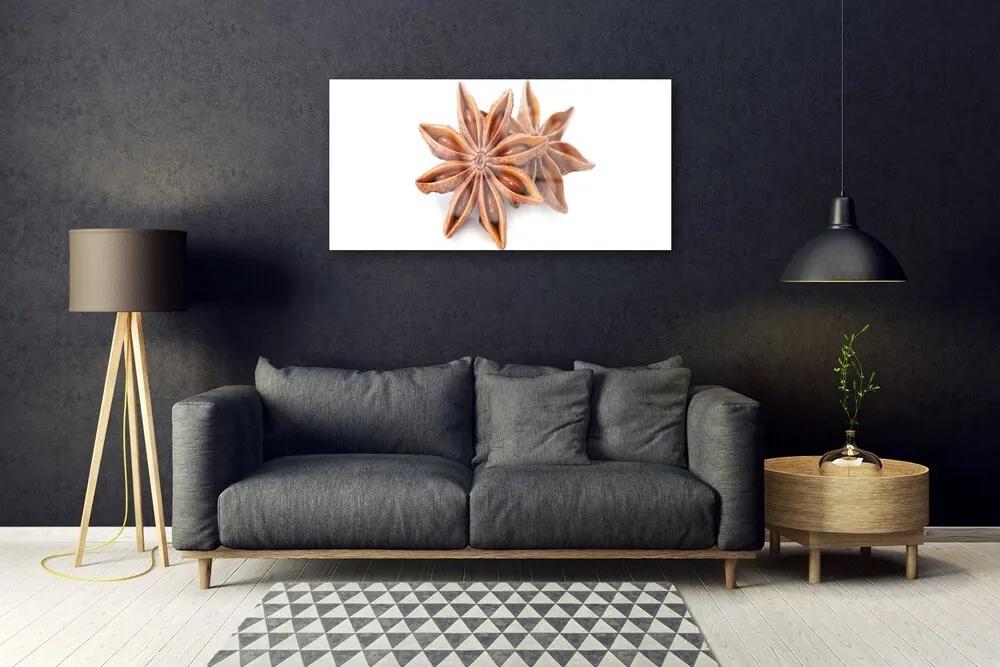 Skleneny obraz Aníz hviezda príprava 100x50 cm