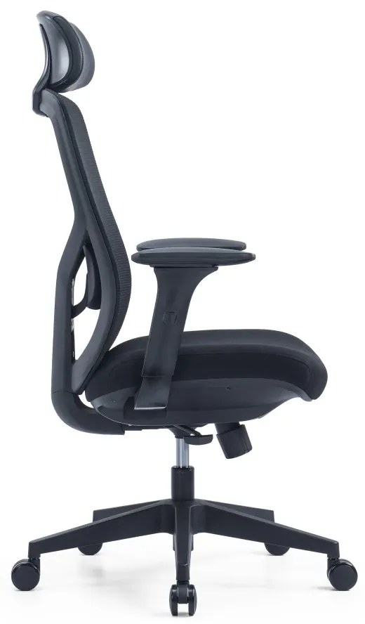 Kancelárska ergonomická stolička PYLON — látka, čierna / viac farieb Modrá Bez podhlavníka
