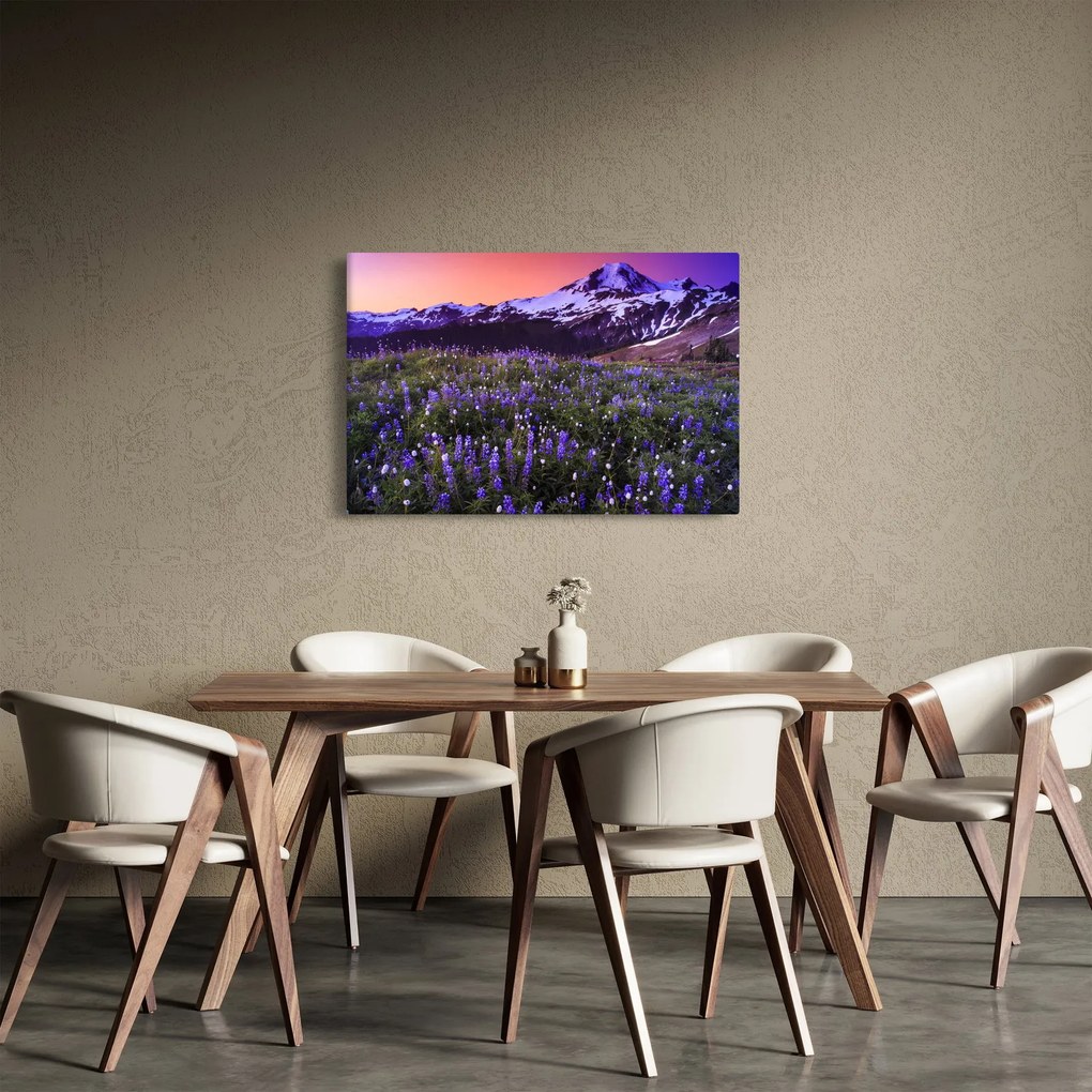 Obraz - Sopka a kvety (90x60 cm)