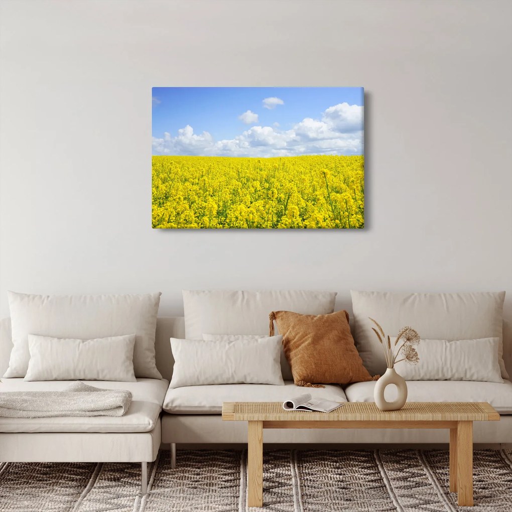 Obraz žltého poľa (90x60 cm)