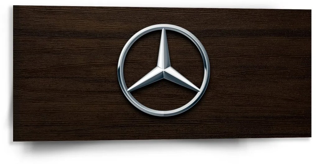 Sablio Obraz Logo 5 Drevo - 110x50 cm