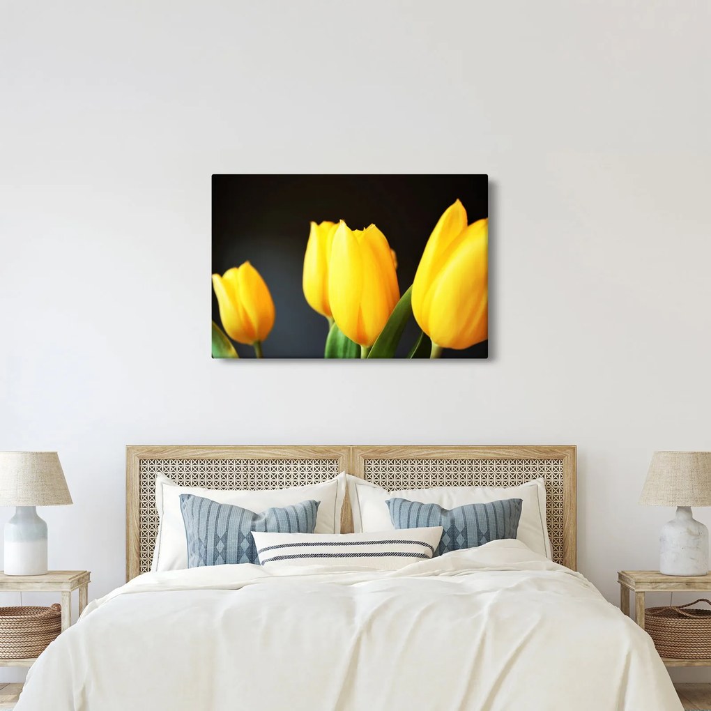 Obraz tulipánov (90x60 cm)