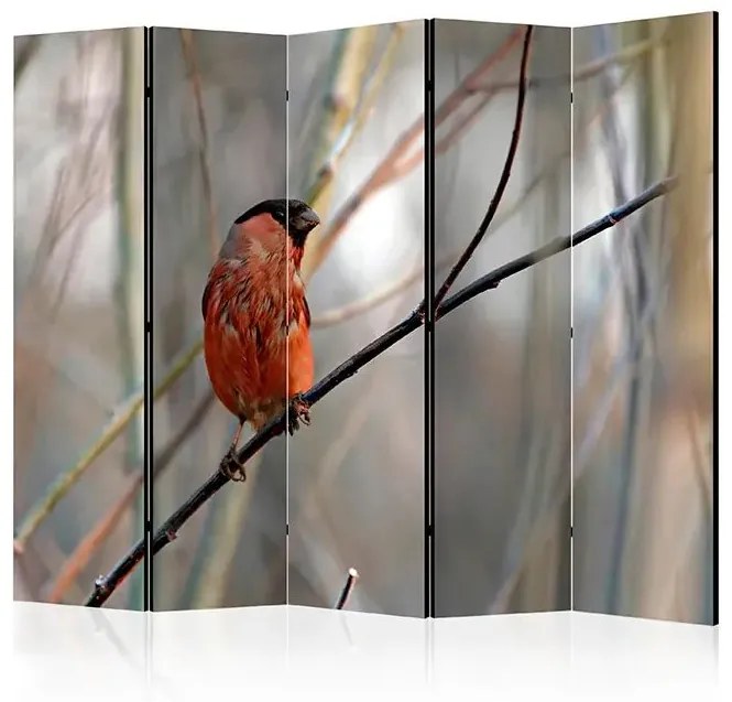 Paraván - Bullfinch in the forest II [Room Dividers]