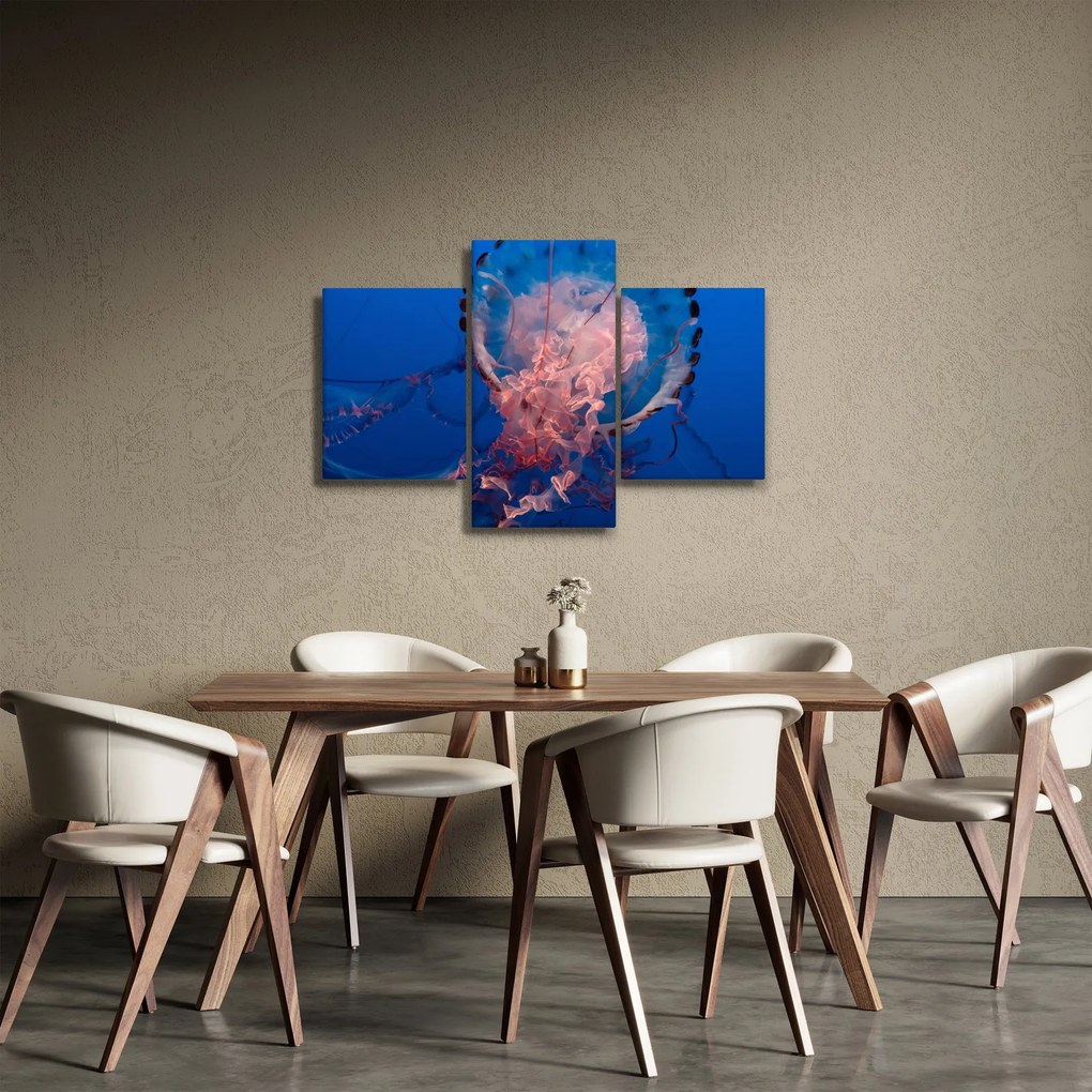 Obraz medúzy (90x60 cm)