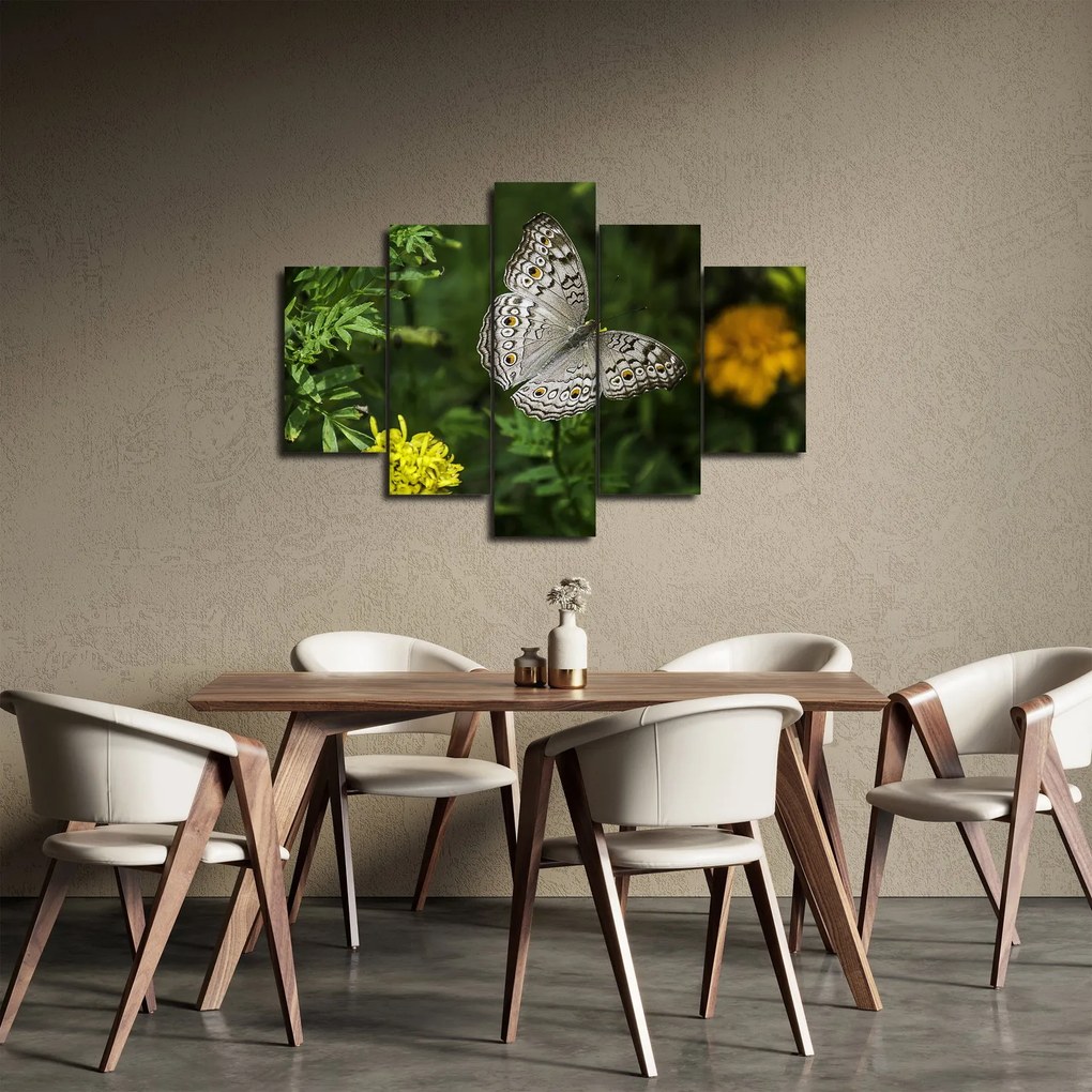 Obraz - biely motýľ (150x105 cm)