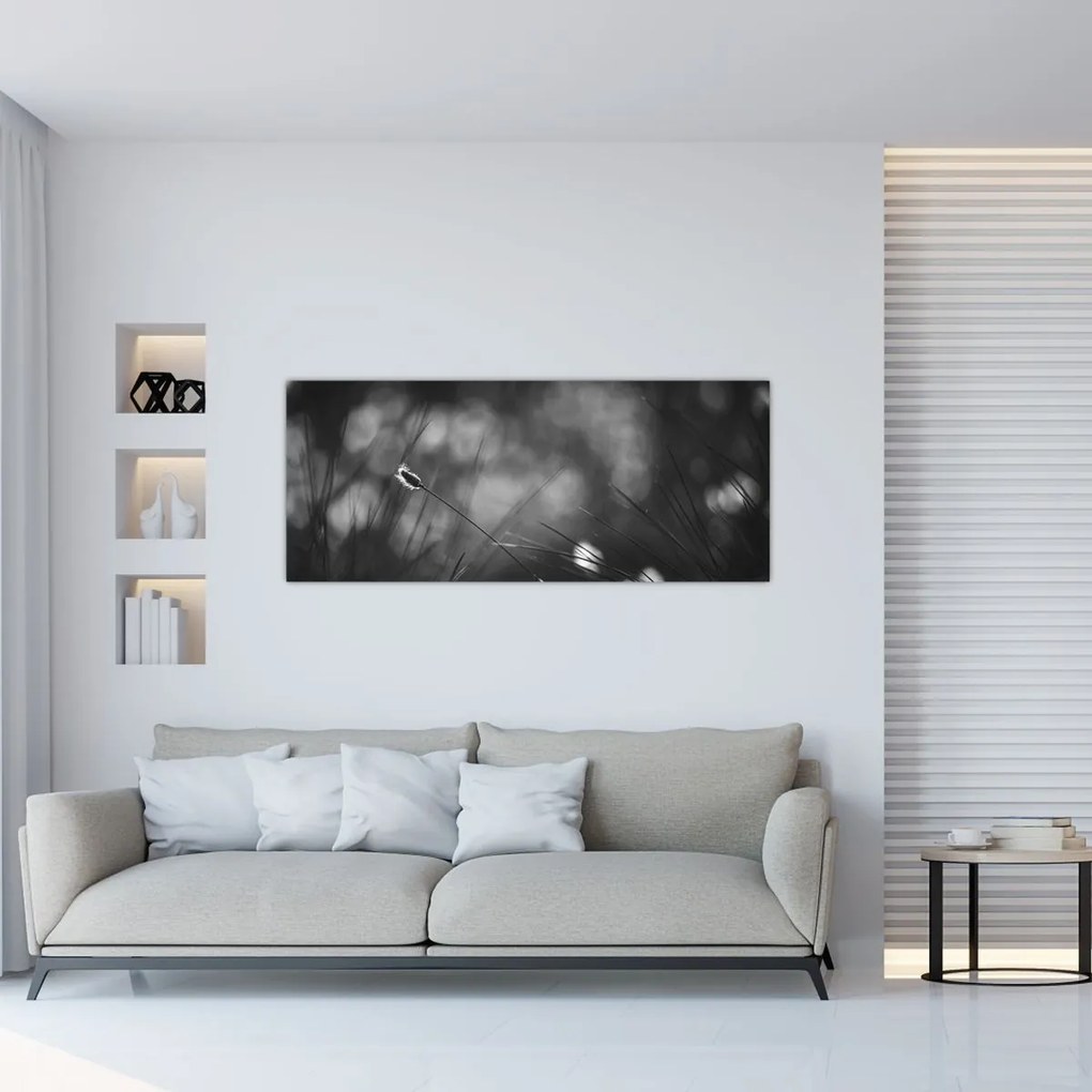 Obraz - Lúčna tráva (120x50 cm)