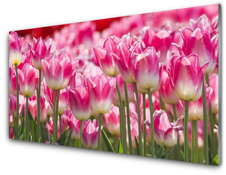 Skleneny obraz Tulipány kvety príroda 120x60 cm