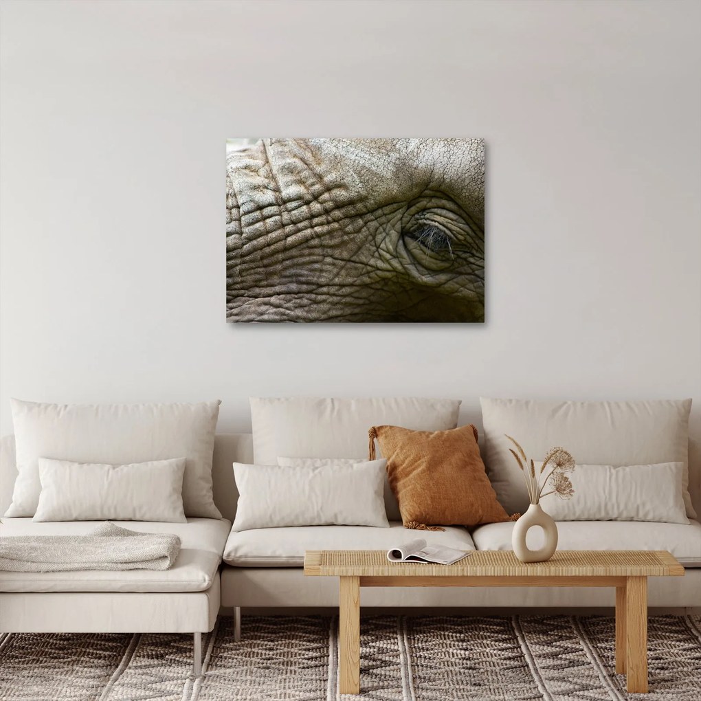 Obraz - Detailné fotografie starého slonieho oka (70x50 cm)