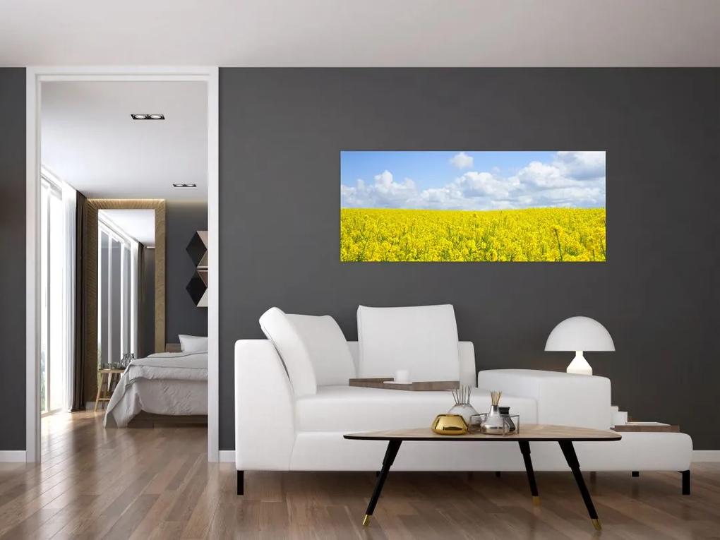 Obraz žltého poľa (120x50 cm)