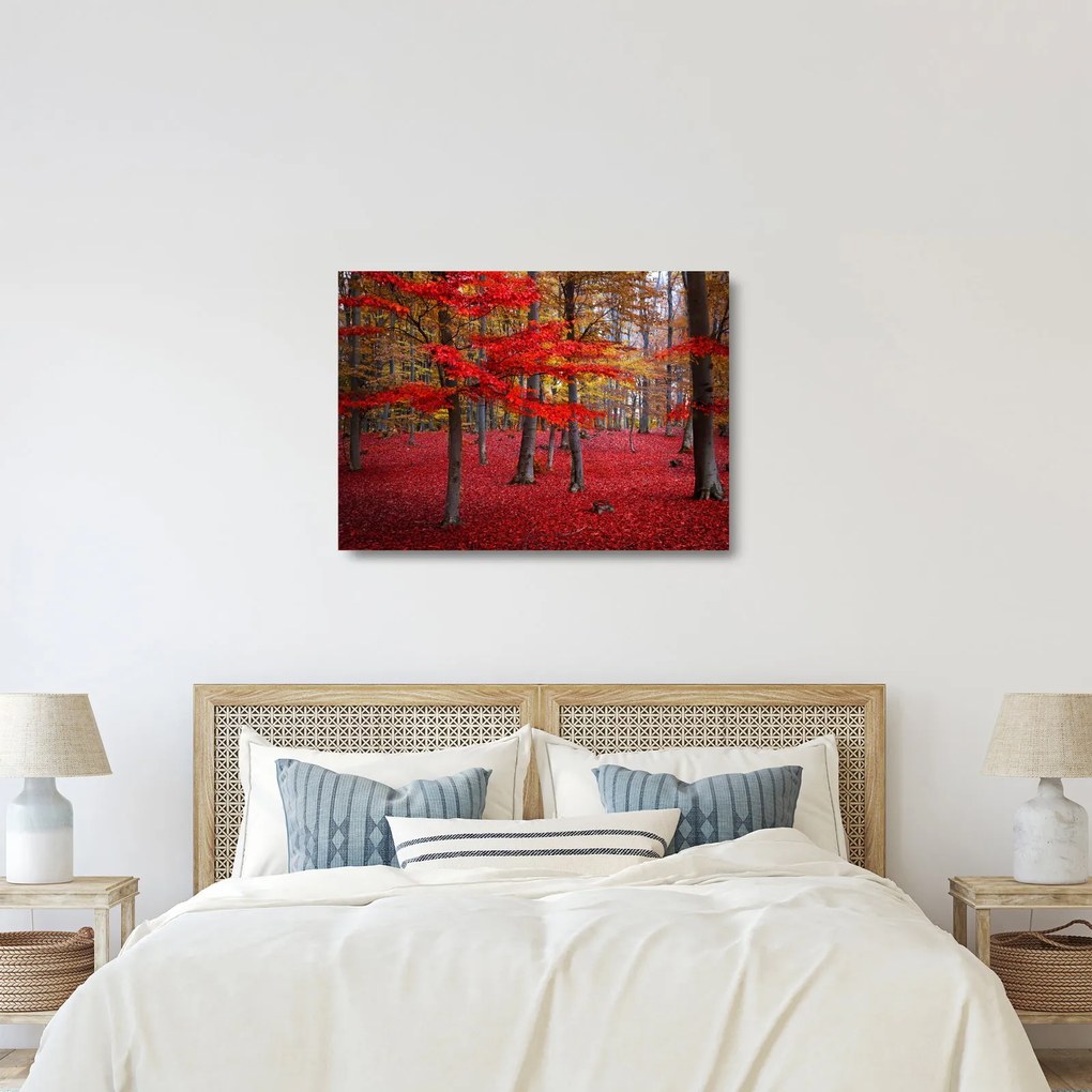 Sklenený obraz - Červený les (70x50 cm)