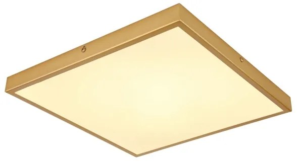 Globo 12382-22 - LED Stropné svietidlo TIBEY LED/22W/230V 35x35 cm