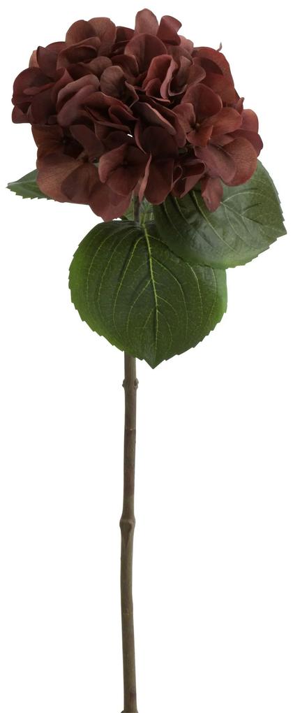 Hnedá dekoračné kvetina Hortenzia - 17*62 cm