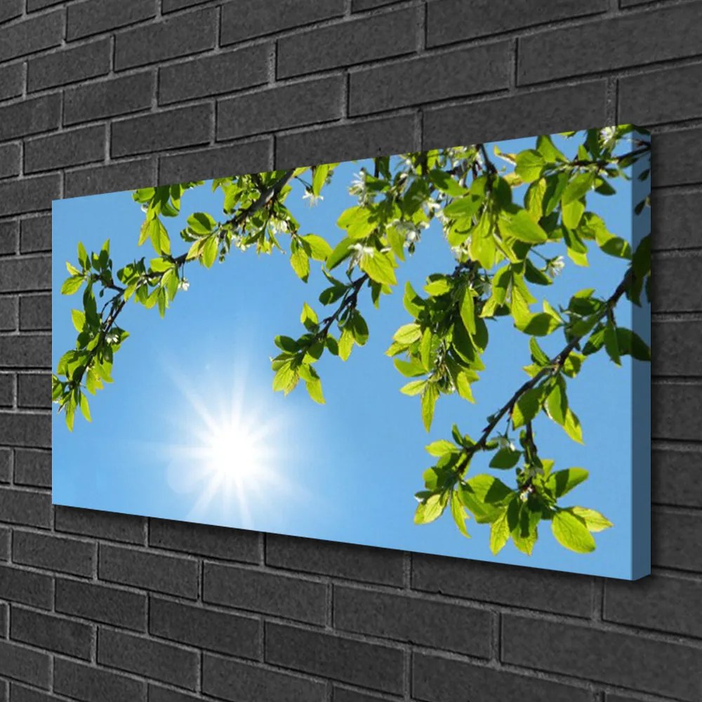 Obraz na plátne Slnko príroda 125x50 cm