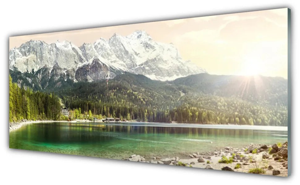Obraz plexi Hory les jazero príroda 125x50 cm