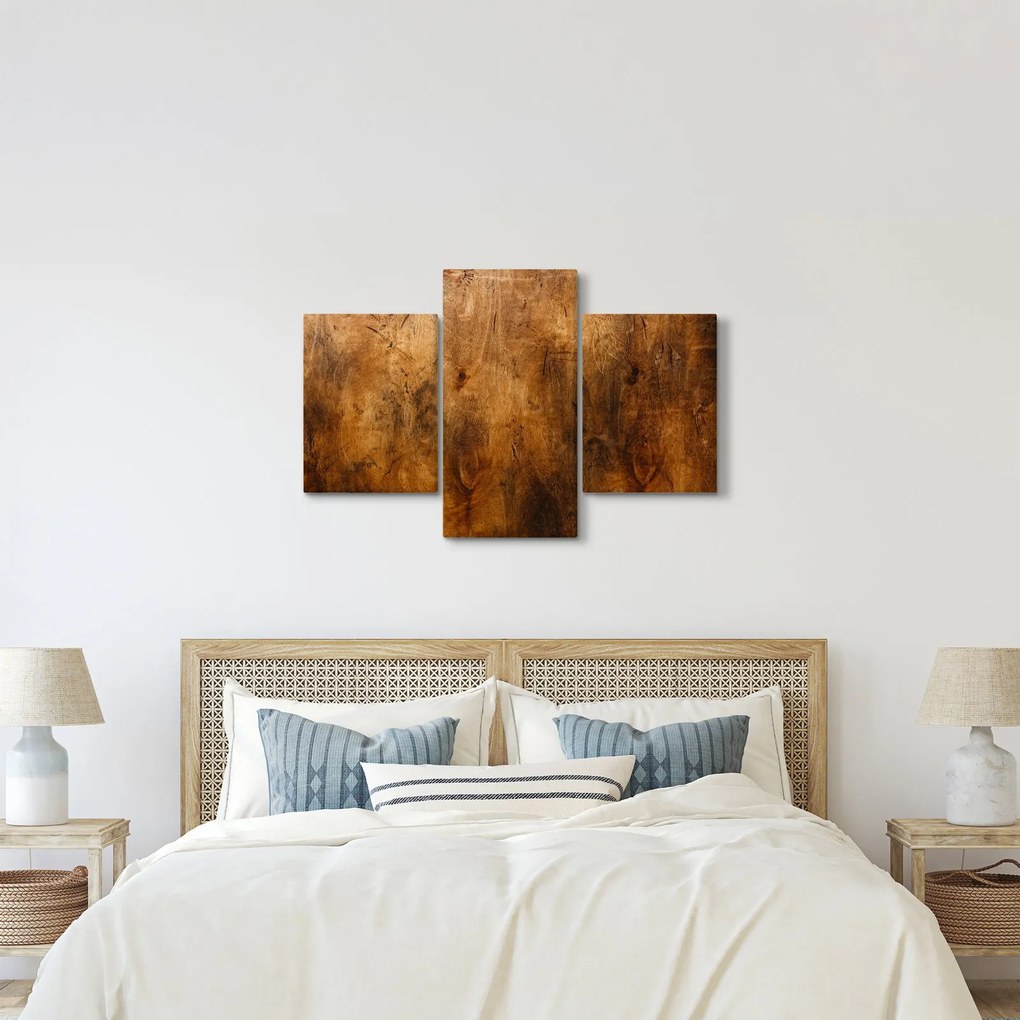 Obraz - Detail dreva (90x60 cm)