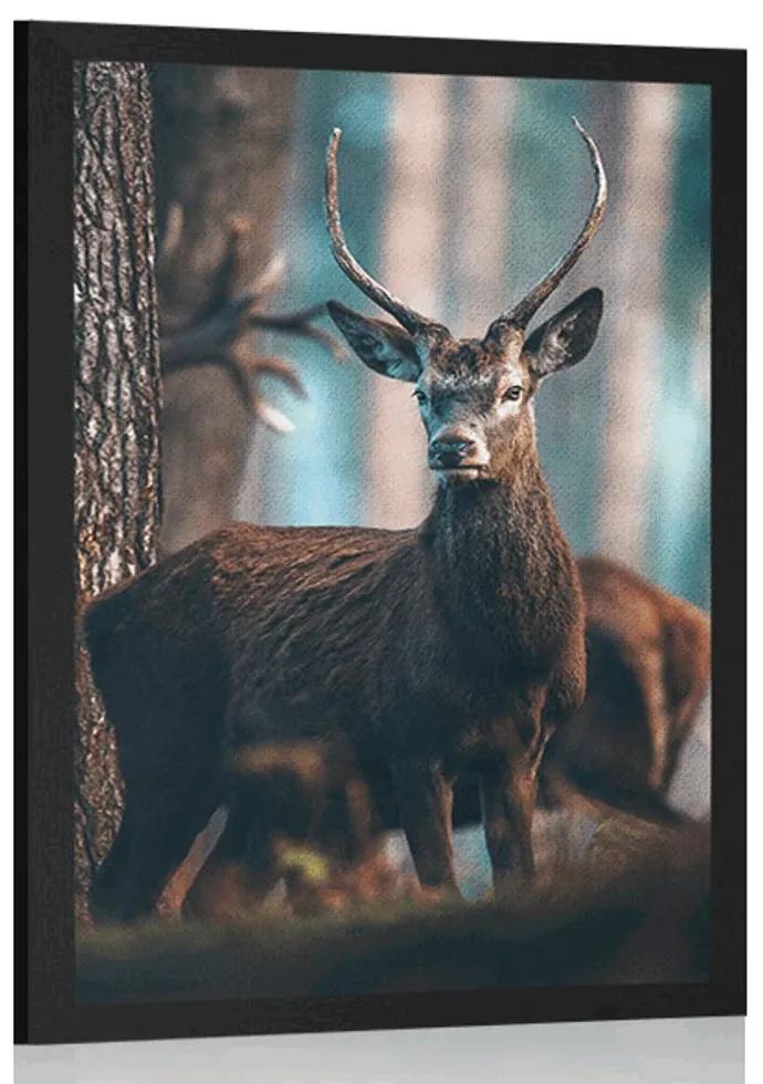 Plagát jeleň v lese - 20x30 black
