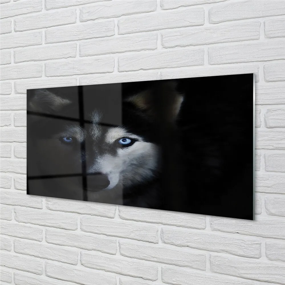 Sklenený obraz wolf Eyes 100x50 cm