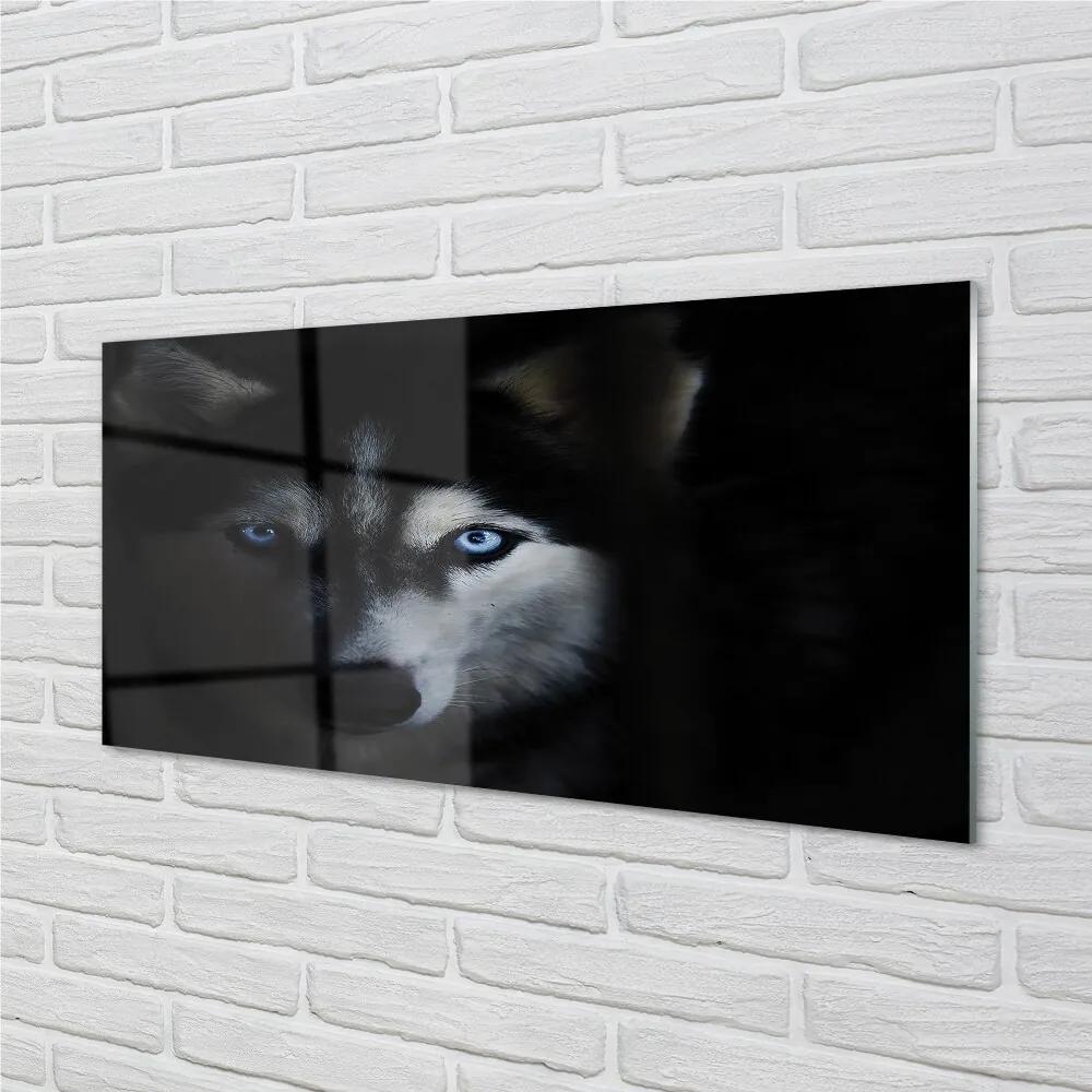 Sklenený obraz wolf Eyes 120x60 cm