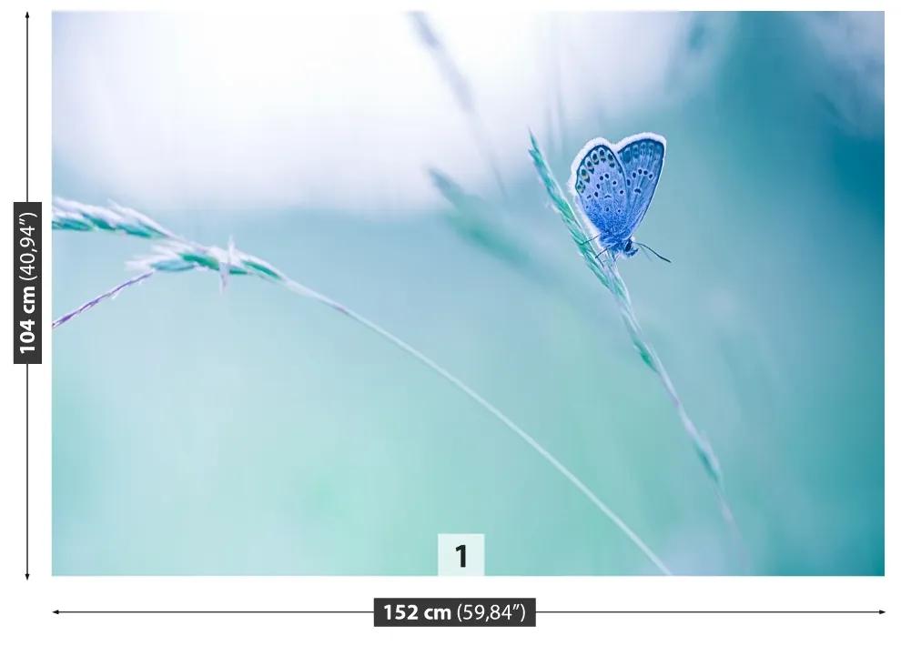 Fototapeta Vliesová Motýlie tráva 312x219 cm