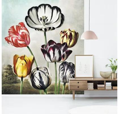 Fototapeta vliesová Tulipány 243x280 cm