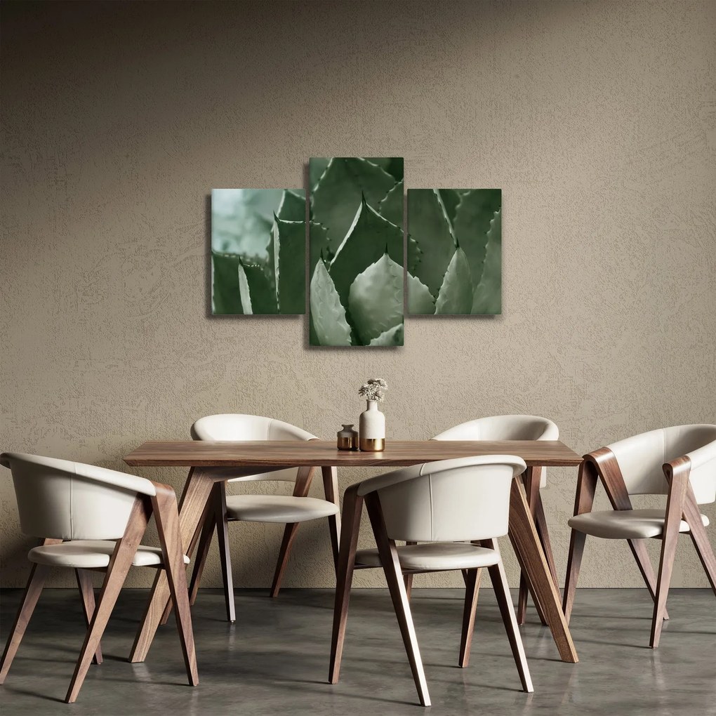 Obraz - Zelená agáve (90x60 cm)