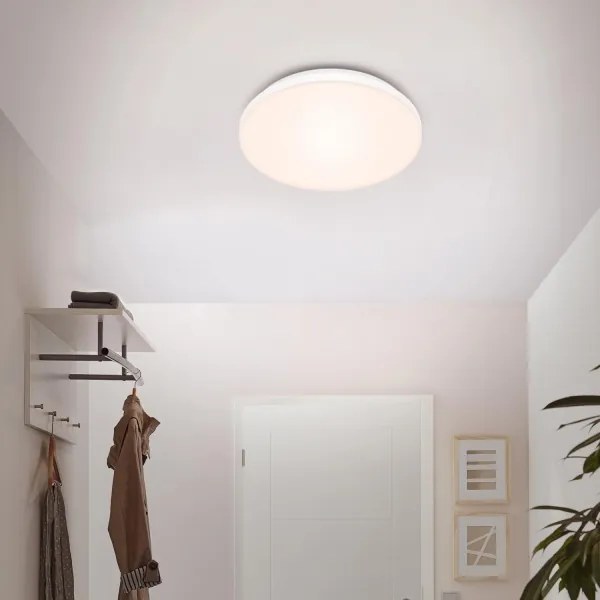 Briloner 7377-016 - LED Stmievateľné stropné svietidlo LED/12W/230V 3000-6500K