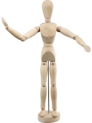 Drevený model ľudského tela 30 cm