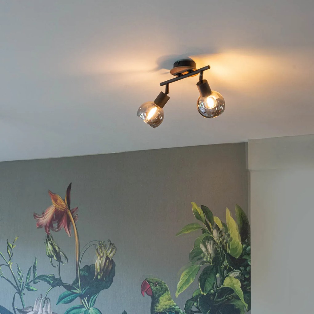 Stropné svietidlo čierne s dymovým sklom a drevenou časťou 2-žiarovkové - Vidro