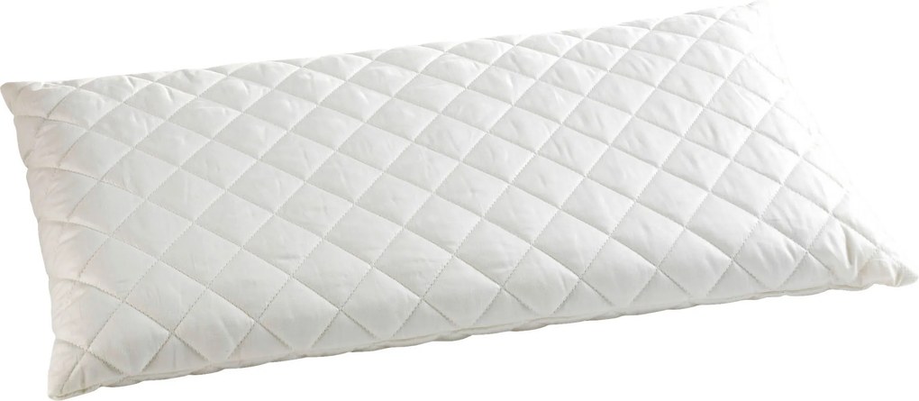 XXXLutz ŠIJOVÝ VANKÚŠ 40/80 cm FAN - Online Only spálne - 003852018702