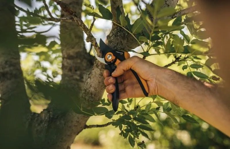 Fiskars Plus SmartFit P541 Nožnice záhradné dvojčepelové, 20,1cm 1057169