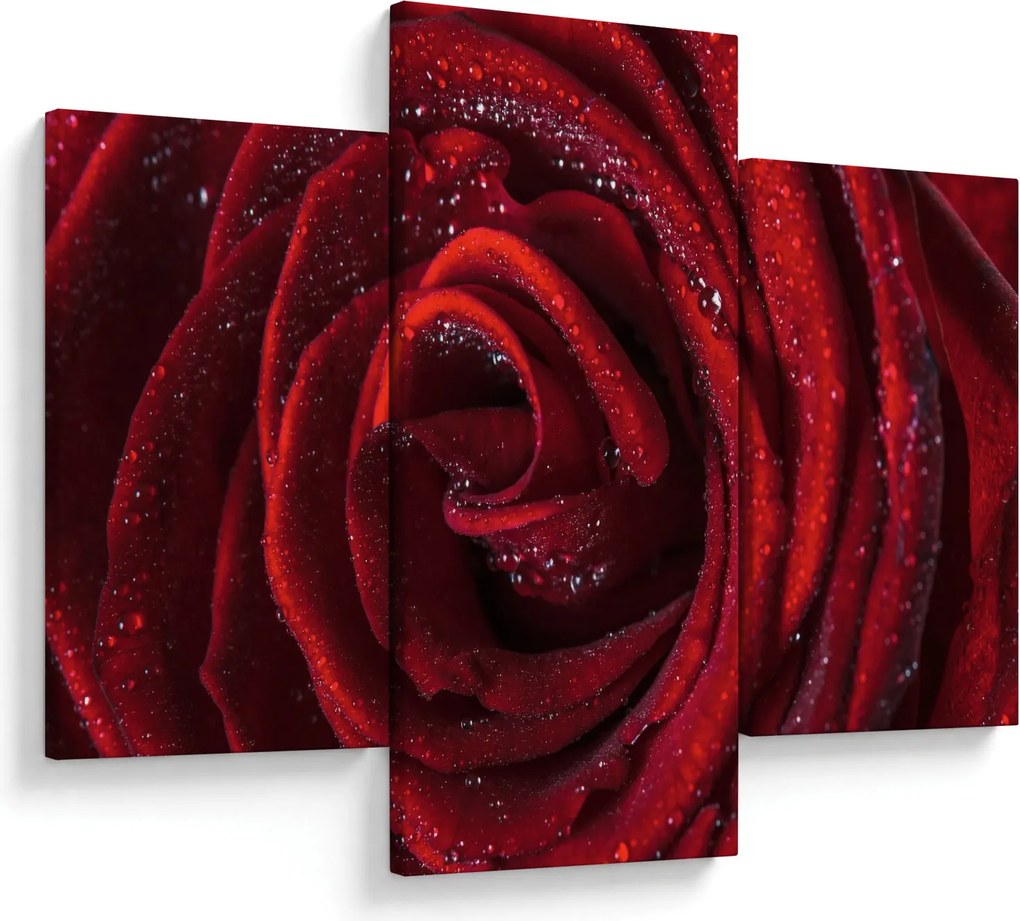 Obraz - Červená ruža s kvapkami rosy (90x60 cm)