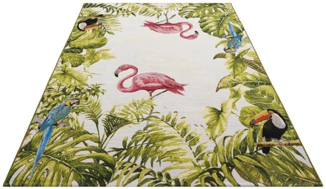 Koberec Hanse Home Flair Tropical Birds viacfarebný