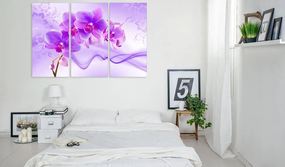 Obraz fialová orchidea - Ethereal orchid - violet