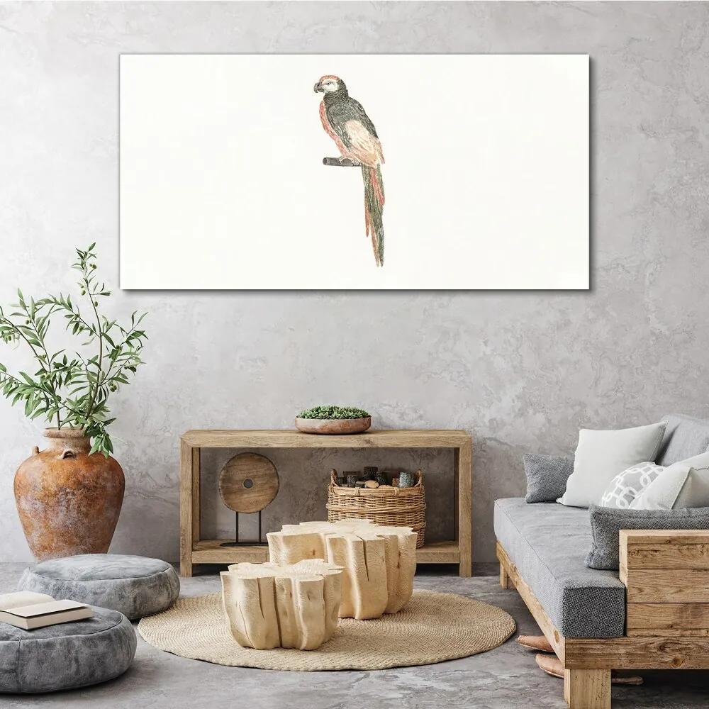 Obraz na plátne Kreslenie zvieracie vták papagáj