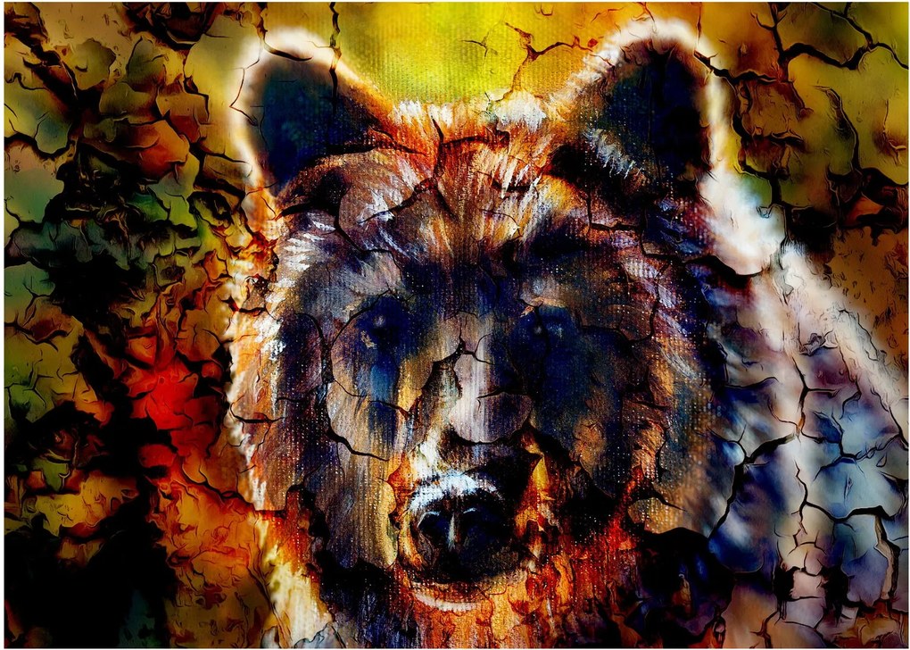 Obraz - Medveď, maľba (70x50 cm)