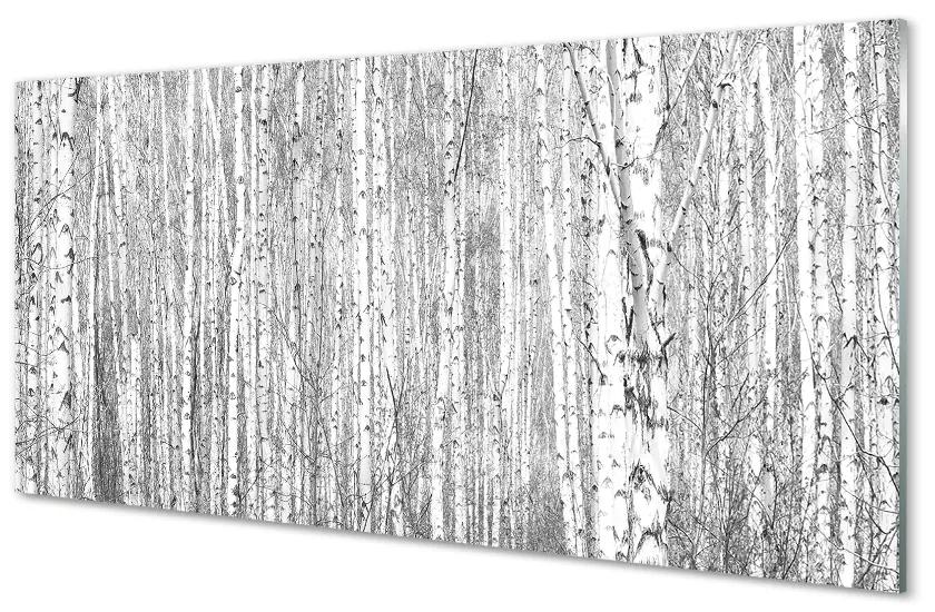 Obraz plexi Čierna a biela strom les 140x70cm