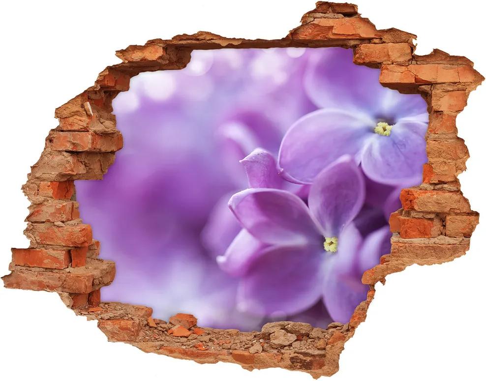 Samolepiaca diera na stenu Kvety orgovánu WallHole-cegla-90x70-64853789