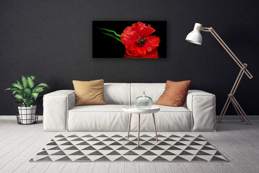 Obraz Canvas Kvet mak rastlina príroda 120x60 cm