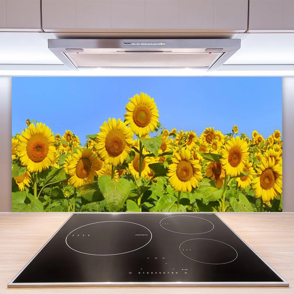 Nástenný panel  Slnečnica kvet rastlina 120x60 cm