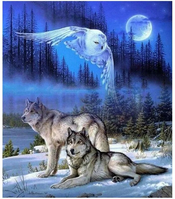 784674 NORIMPEX 5D Diamantová mozaika - Navaro