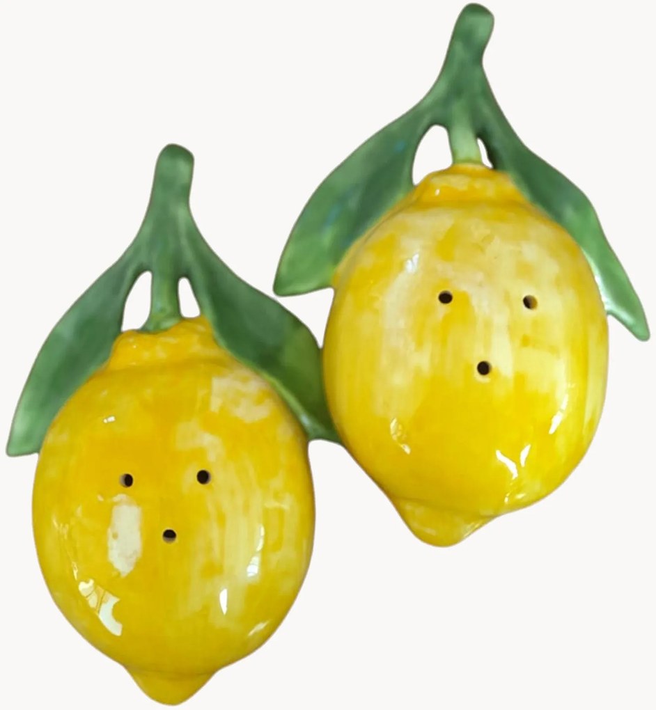 Ručne maľovaná soľnička a korenička Lemon, 2 ks
