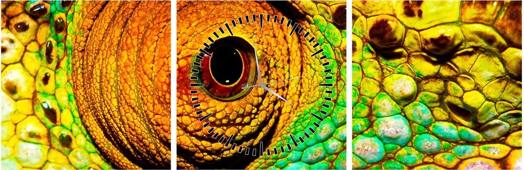 Obraz - Chameleon (s hodinami) (90x30 cm)