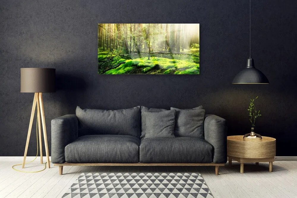 Obraz na skle Mech les príroda 100x50 cm