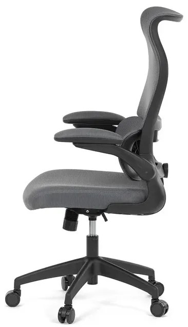 Kancelárska stolička ERGO Mesh Pro/sivá