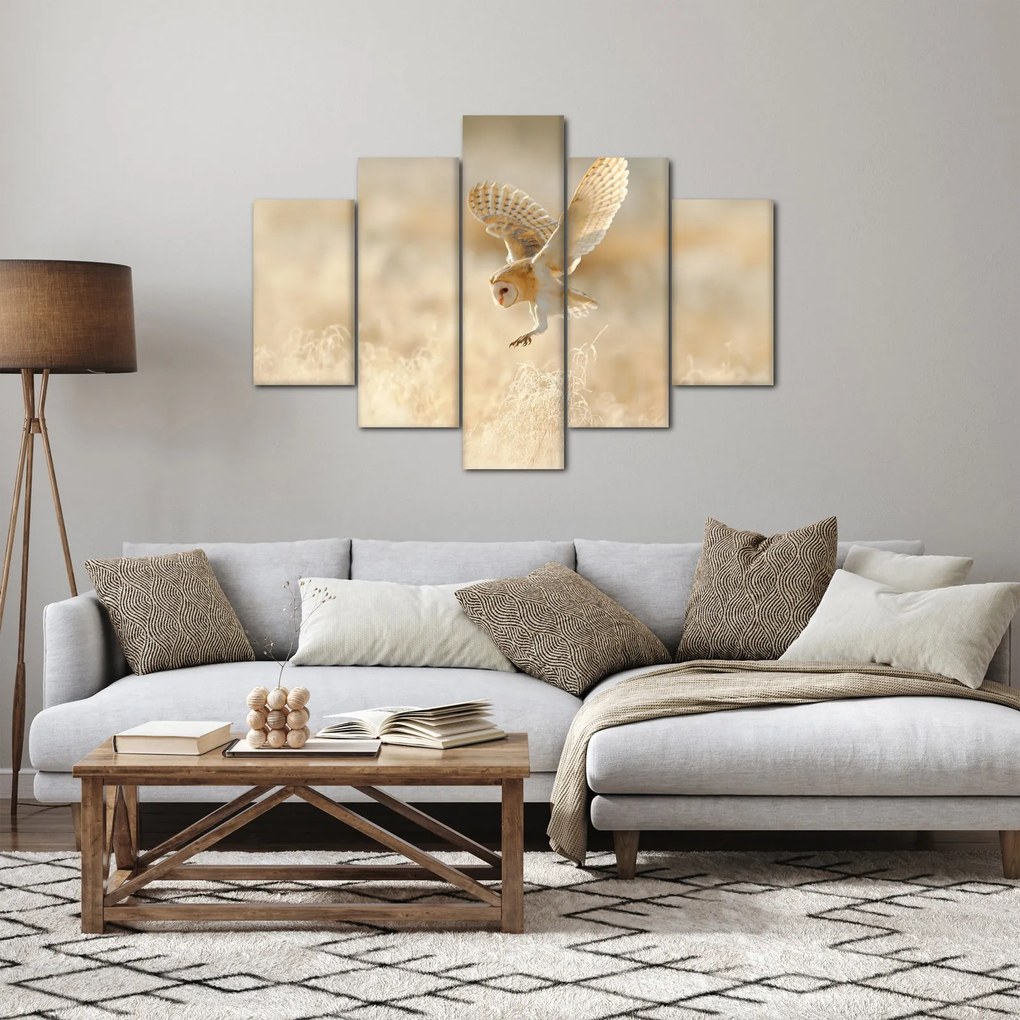 Obraz - Sova pálená (150x105 cm)