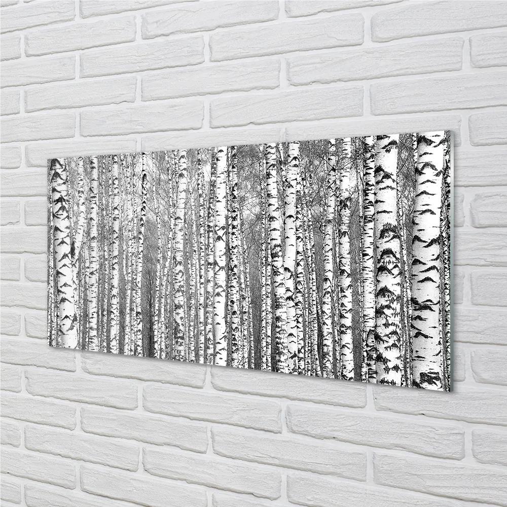 Nástenný panel  Čierna a biela strom 120x60 cm