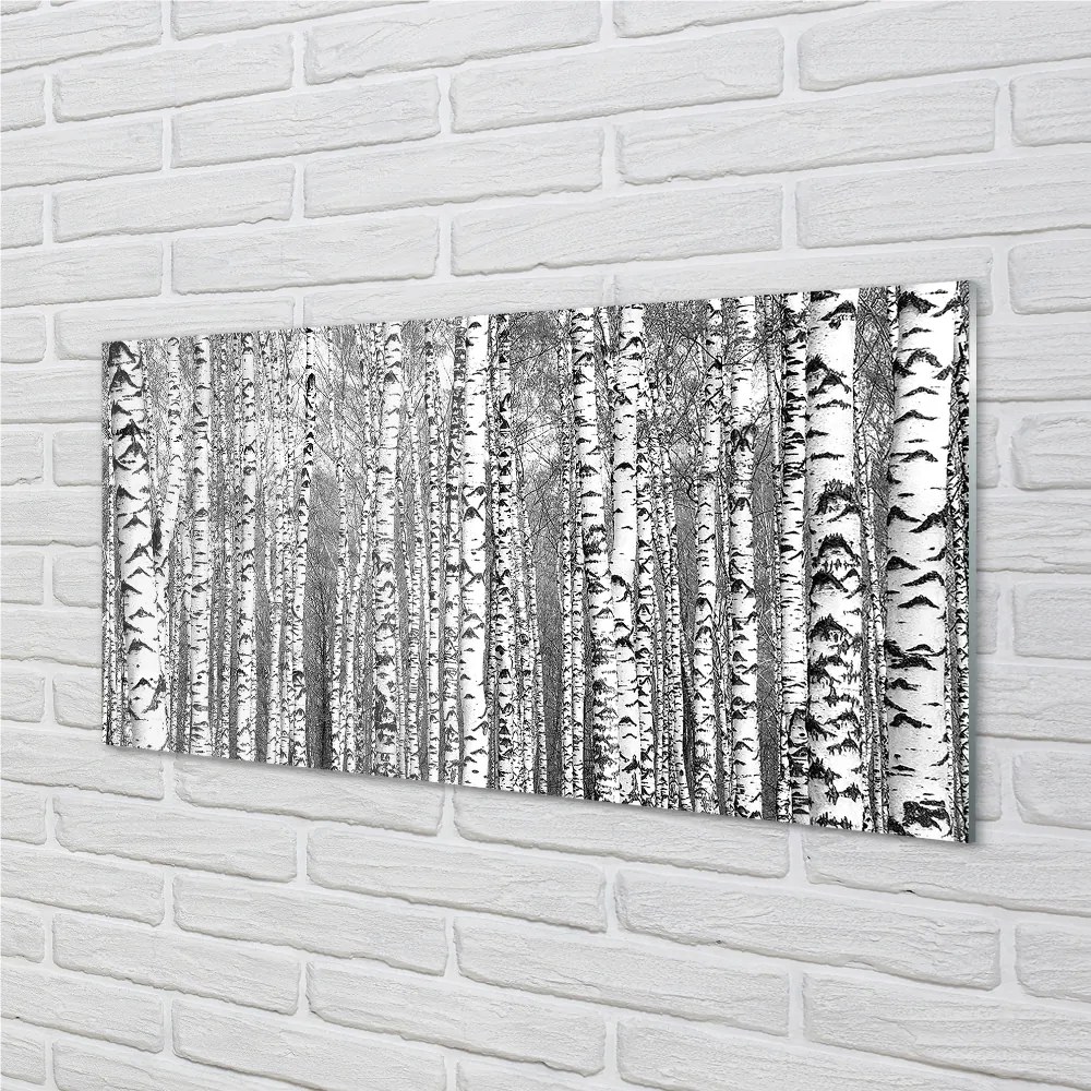 Nástenný panel  Čierna a biela strom 125x50 cm