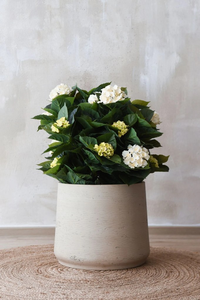 Kvetináč TROPICO, sklolaminát, výška 38 cm, béžová